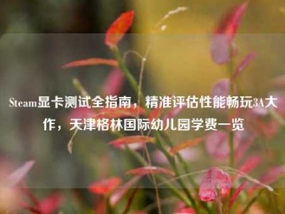Steam显卡测试全指南，精准评估性能畅玩3A大作，天津格林国际幼儿园学费一览