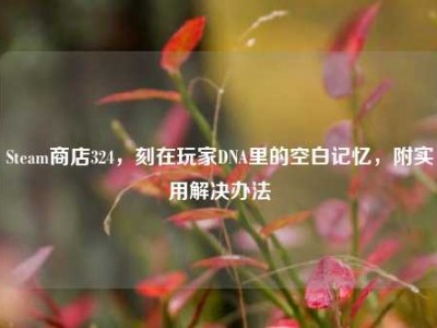 Steam商店324，刻在玩家DNA里的空白记忆，附实用解决办法