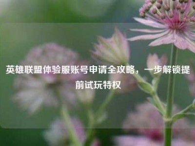 英雄联盟体验服账号申请全攻略，一步解锁提前试玩特权