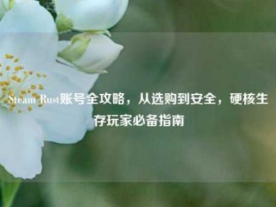 Steam Rust账号全攻略，从选购到安全，硬核生存玩家必备指南