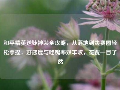 和平精英送妹神装全攻略，从落地到决赛圈轻松拿捏，好感度与吃鸡率双丰收，花费一目了然