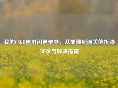 我的CSGO黑屏闪退噩梦，从崩溃到通关的折腾实录与解决指南