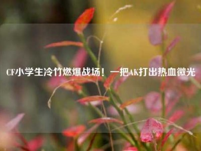 CF小学生冷竹燃爆战场！一把AK打出热血微光