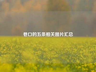 巷口的五条相关图片汇总
