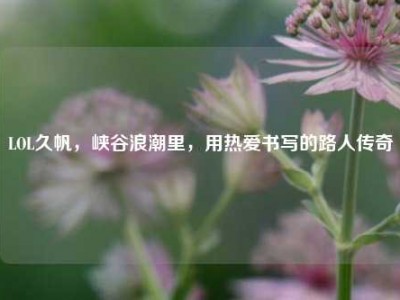 LOL久帆，峡谷浪潮里，用热爱书写的路人传奇