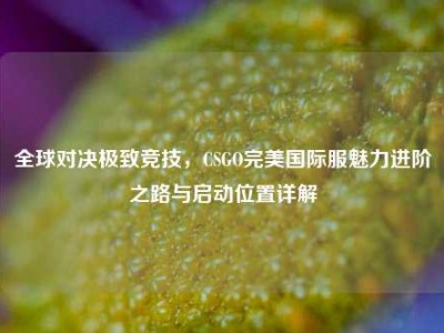 全球对决极致竞技，CSGO完美国际服魅力进阶之路与启动位置详解