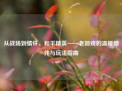从战场到情怀，和平精英——老游戏的温暖陪伴与玩法指南