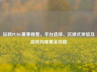 玩转PUBG赛事观看，平台选择、沉浸式体验及游戏内观赛全攻略