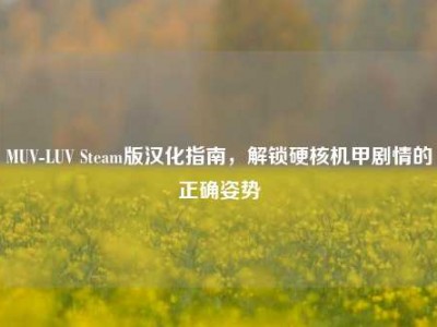 MUV-LUV Steam版汉化指南，解锁硬核机甲剧情的正确姿势