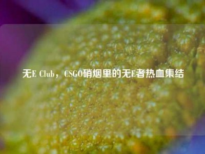 无E Club，CSGO硝烟里的无E者热血集结