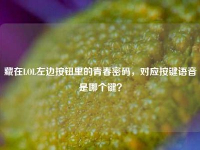 藏在LOL左边按钮里的青春密码，对应按键语音是哪个键？