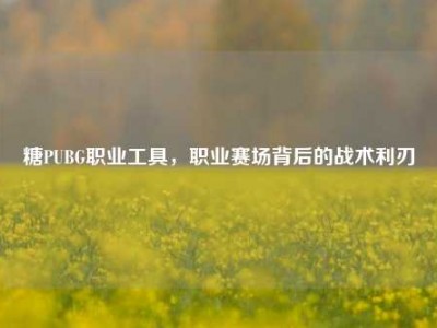 糖PUBG职业工具，职业赛场背后的战术利刃