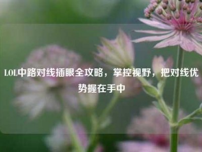 LOL中路对线插眼全攻略，掌控视野，把对线优势握在手中