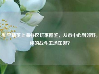 和平精英上海各区玩家图鉴，从市中心到郊野，你的战斗主场在哪？