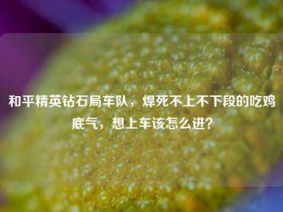 和平精英钻石局车队，焊死不上不下段的吃鸡底气，想上车该怎么进？