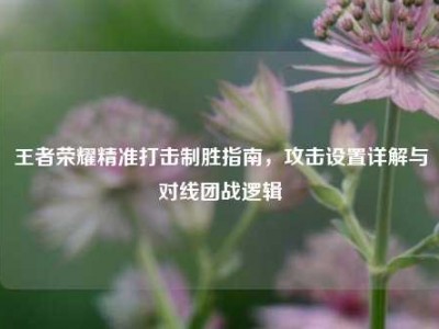 王者荣耀精准打击制胜指南，攻击设置详解与对线团战逻辑
