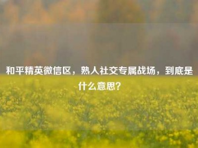 和平精英微信区，熟人社交专属战场，到底是什么意思？