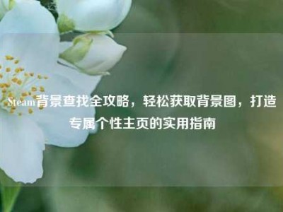 Steam背景查找全攻略，轻松获取背景图，打造专属个性主页的实用指南