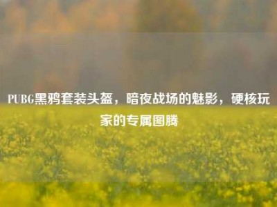 PUBG黑鸦套装头盔，暗夜战场的魅影，硬核玩家的专属图腾