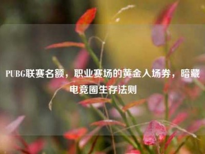 PUBG联赛名额，职业赛场的黄金入场券，暗藏电竞圈生存法则
