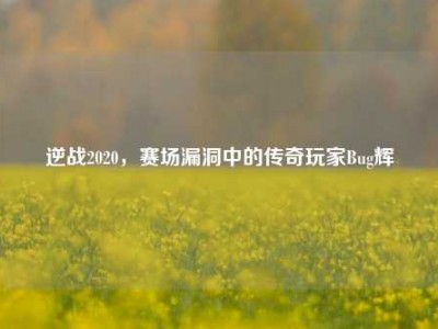 逆战2020，赛场漏洞中的传奇玩家Bug辉