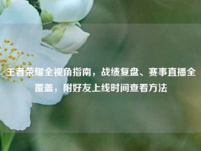 王者荣耀全视角指南，战绩复盘、赛事直播全覆盖，附好友上线时间查看方法