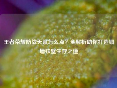 王者荣耀防战天赋怎么点？全解析助你打造铜墙铁壁生存之道