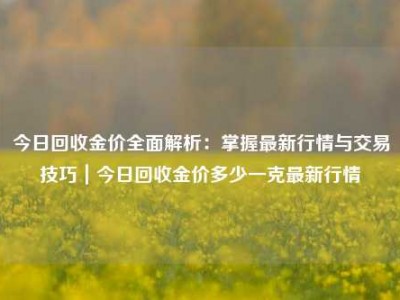 今日回收金价全面解析：掌握最新行情与交易技巧｜今日回收金价多少一克最新行情