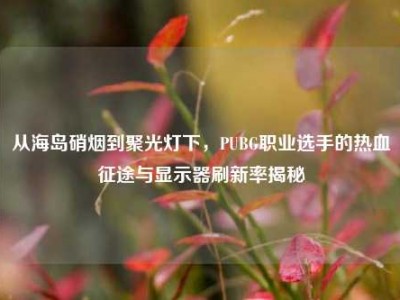 从海岛硝烟到聚光灯下，PUBG职业选手的热血征途与显示器刷新率揭秘
