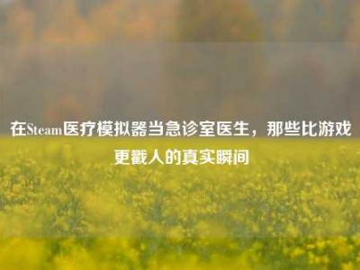 在Steam医疗模拟器当急诊室医生，那些比游戏更戳人的真实瞬间