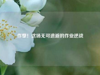 作孽！这场无可逃避的作业逆战
