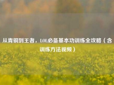 从青铜到王者，LOL必备基本功训练全攻略（含训练方法视频）