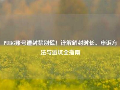 PUBG账号遭封禁别慌！详解解封时长、申诉方法与避坑全指南