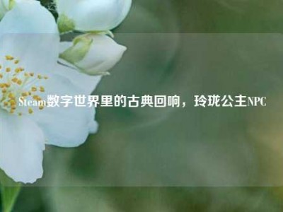 Steam数字世界里的古典回响，玲珑公主NPC