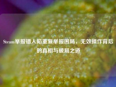 Steam举报错人陷重复举报困局，无效操作背后的真相与破局之道