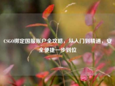 CSGO绑定国服账户全攻略，从入门到精通，安全便捷一步到位