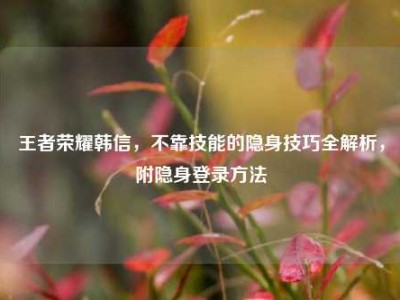 王者荣耀韩信，不靠技能的隐身技巧全解析，附隐身登录方法