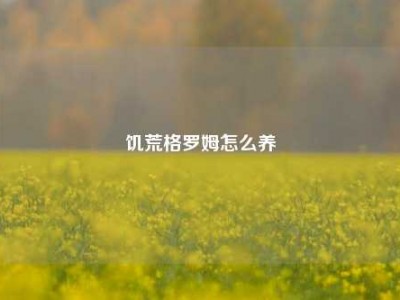 饥荒格罗姆怎么养