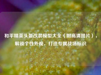 和平精英头盔改装模型大全（附高清图片），解锁个性外观，打造专属战场标识
