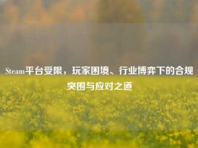 Steam平台受限，玩家困境、行业博弈下的合规突围与应对之道