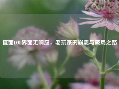 直面LOL界面无响应，老玩家的崩溃与破局之路