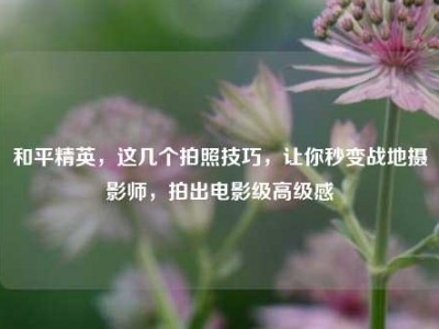 和平精英，这几个拍照技巧，让你秒变战地摄影师，拍出电影级高级感