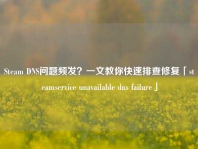 Steam DNS问题频发？一文教你快速排查修复「steamservice unavailable dns failure」