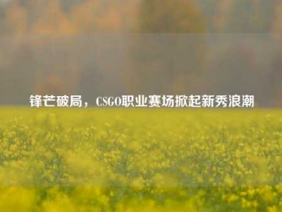 锋芒破局，CSGO职业赛场掀起新秀浪潮
