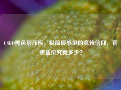 CSGO黑色层压板，极简质感里的竞技信仰，套装售价究竟多少？