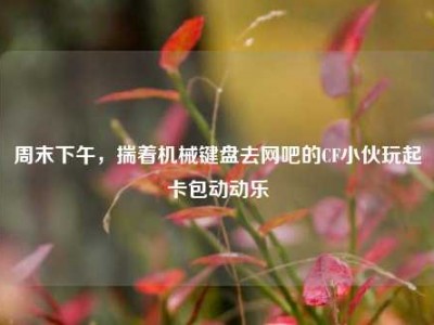 周末下午，揣着机械键盘去网吧的CF小伙玩起卡包动动乐