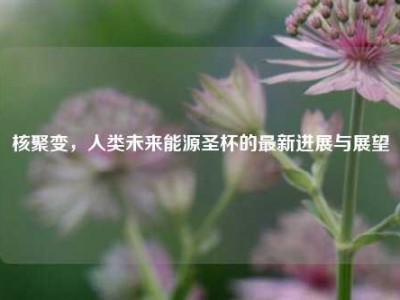 核聚变，人类未来能源圣杯的最新进展与展望