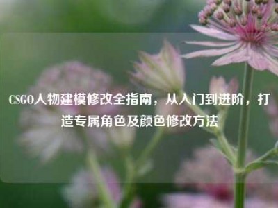 CSGO人物建模修改全指南，从入门到进阶，打造专属角色及颜色修改方法