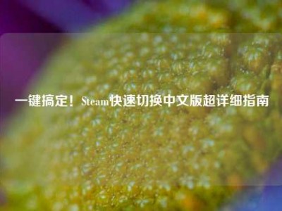 一键搞定！Steam快速切换中文版超详细指南