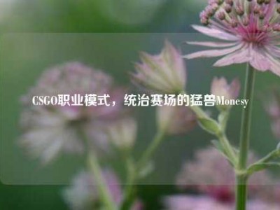 CSGO职业模式，统治赛场的猛兽Monesy